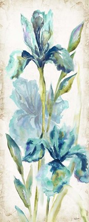 Framed Watercolor Iris Panel REV I Print
