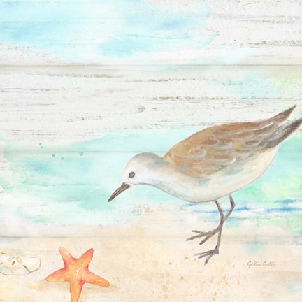 Framed Sandpiper Beach II Print