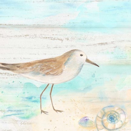 Framed Sandpiper Beach III Print