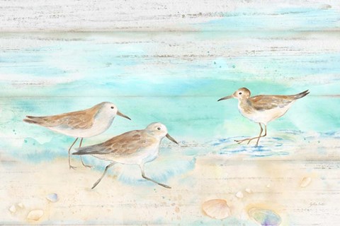 Framed Sandpiper Beach Landscape Print