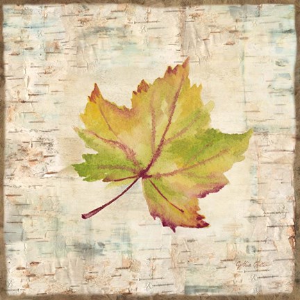 Framed Nature Walk Leaves III Print