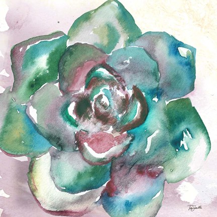 Framed Succulent Watercolor IV Print