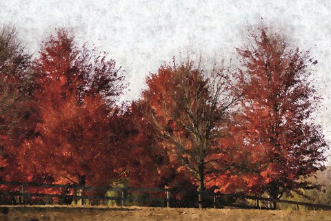 Framed Fall Reds Print