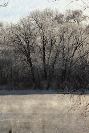 Framed Ice Mist Print