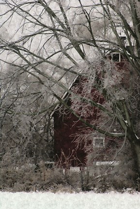 Framed Sheltered Print