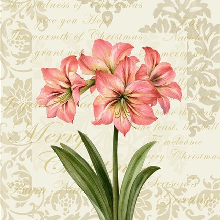 Framed Botanical Christmas Cream IV Print