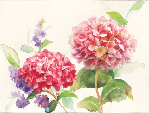 Framed Watercolor Hydrangea Print