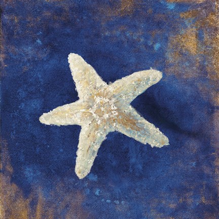 Framed Treasures from the Sea Indigo IV Print