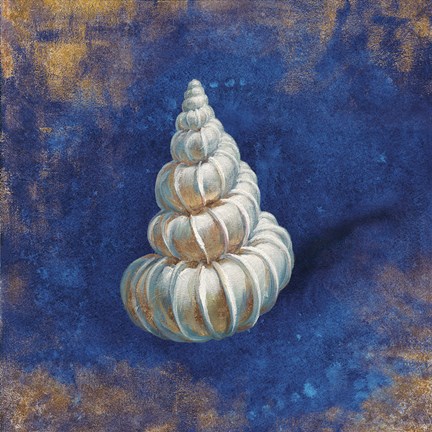 Framed Treasures from the Sea Indigo II Print