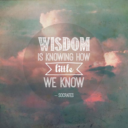 Framed Wisdom is Knowing How Little We Know - Pink Clouds Print