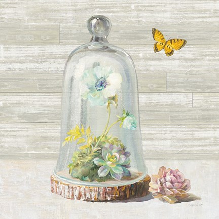 Framed Succulent Garden II Print