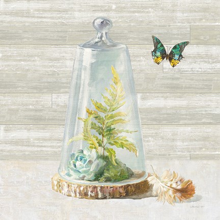 Framed Succulent Garden IV Print