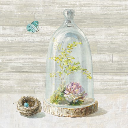 Framed Succulent Garden III Print