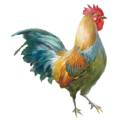 Framed Noble Rooster III on White Print