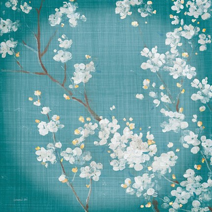 Framed White Cherry Blossoms II on Teal Aged no Bird Print