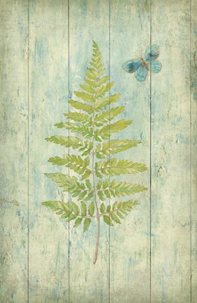 Framed Natural Floral XIII Butterfly Print