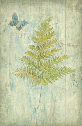 Framed Natural Floral XII Butterfly Print