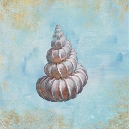 Framed Treasures from the Sea II Watercolor Print