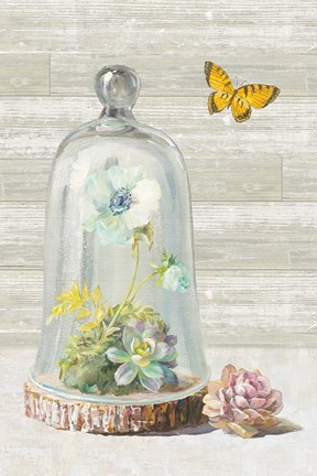 Framed Succulent Garden II Panel Print