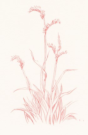 Framed Farm Nostalgia Flowers V Print