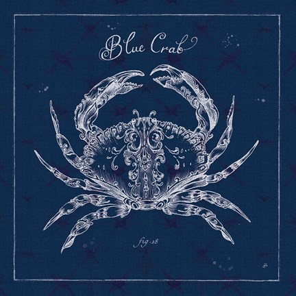 Framed Underwater Life XII Print