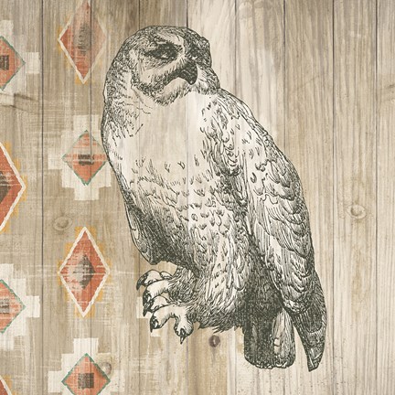 Framed Natural History Lodge southwest II Print