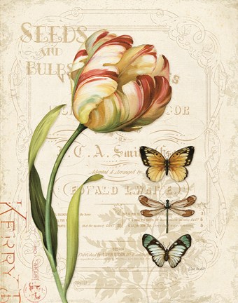 Framed Mothers Treasure IV Print