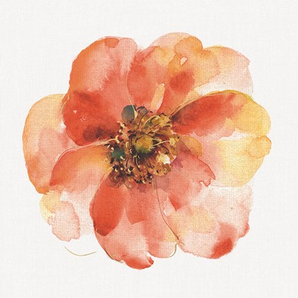 Framed Colorful Breeze IX Print