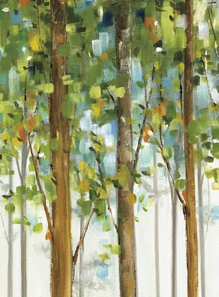 Framed Forest Study II SPC Print