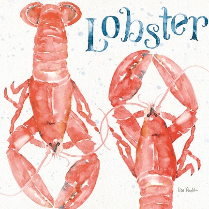 Framed Beach House Kitchen VI Print