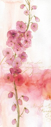 Framed Rainbow Seeds Absract Floral I Print