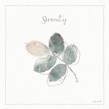 Framed Woodland Walk XVIII Print