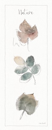 Framed Woodland Walk XVII Print