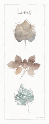 Framed Woodland Walk XVI Print