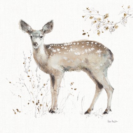 Framed Woodland Walk IX Print