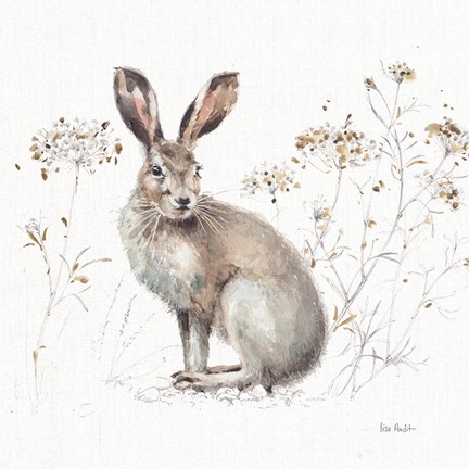 Framed Woodland Walk XIII Print