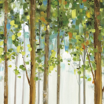 Framed Forest Study VIII Print