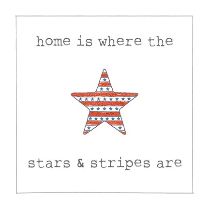 Framed USA Cuties IV on White Print