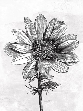 Framed Spa Botanical IV BW Crop Print