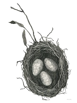 Framed Springtime Nest III Print