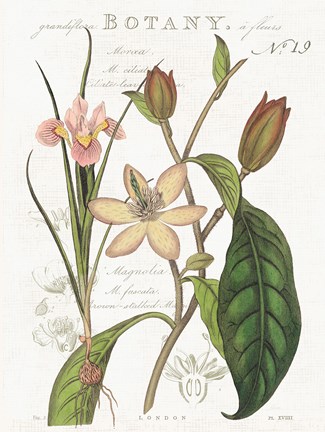 Framed Vintage Floral III Neutral Print