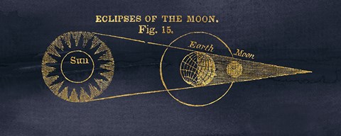 Framed Geography of the Heavens IV Blue Gold Print