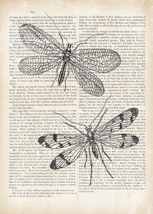 Framed Vintage Dragonflies on Newsprint Print