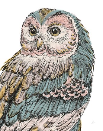 Framed Beautiful Owls I Pastel Print