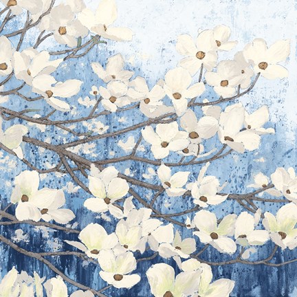 Framed Dogwood Blossoms II Indigo Print