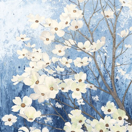 Framed Dogwood Blossoms I Indigo Print