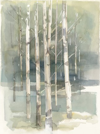 Framed Birch Grove I Print