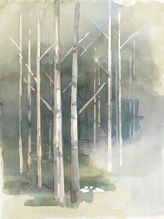 Framed Birch Grove II Print