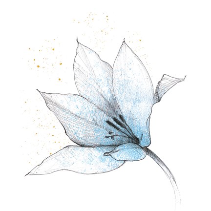 Framed Blue Graphite Flower IX Print