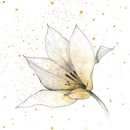 Framed Gilded Graphite Floral IX Print